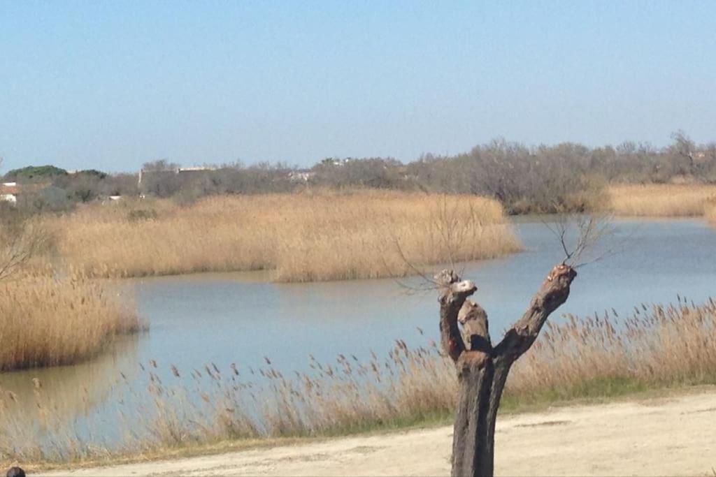 Traversant Vue Sur L'etang *